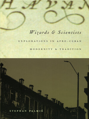cover image of Wizards and Scientists